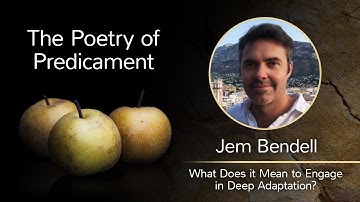 Jem Bendell  - What does it mean to engage in Deep Adaptation.