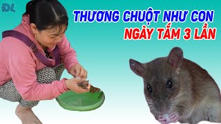 Chú chuột nuôi trong áo, được trả đến 85 triệu đồng - ĐỘC LẠ BÌNH DƯƠNG