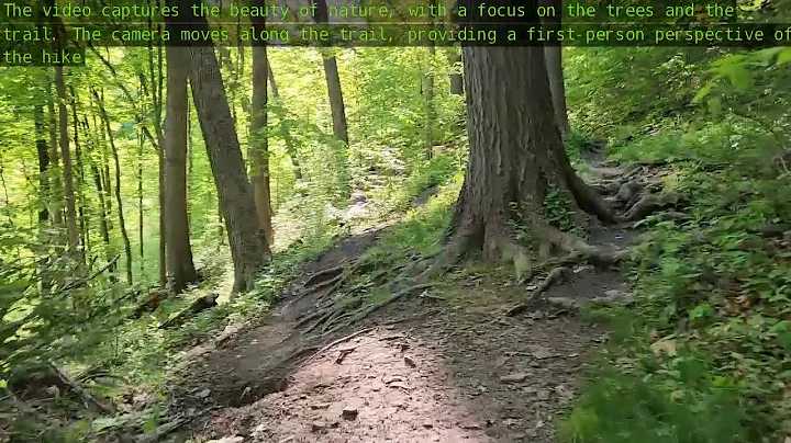 JETSON AI LAB | Realtime Video Vision/Language Model with VILA1.5-3b and Jetson Orin