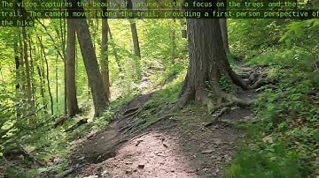 JETSON AI LAB | Realtime Video Vision/Language Model with VILA1.5-3b and Jetson Orin