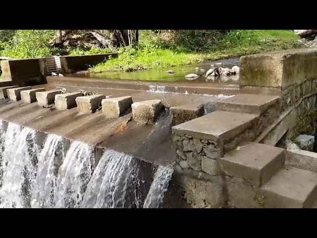 Levada Prazeres - Raposeira 2017, Madeira