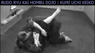 JUJUTSU TECHNIQUES ⛩ 2017 Ground Fighting Keiko Training screenshot 1