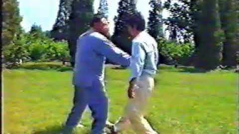 Chen Style Tai Chi Pushing Hands (Taiji Quan Feng Zhiqiang)