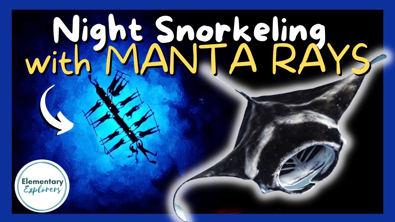 4 Days 3 Nights Manta Ray Adventure