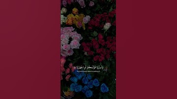 تلاوة هادئة 🌱🦋 #quraan #غزة #allah #القدس #فلسطين #قضيتنا_فلسطين #ارح_سمعك #القرآن #قرآن_كريم #قرآن