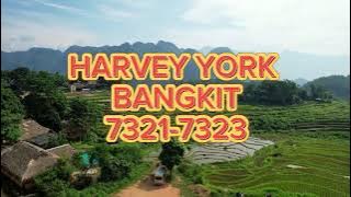 HARVEY YORK BANGKIT 7321-7323