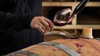 Frank Family's Daily Dedication to Winemaking