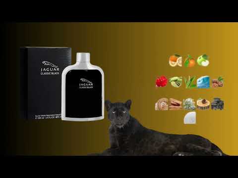 جاكوار كلاسيك بلاك متجر بلانكا