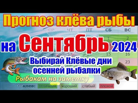 Календарь рыбака на Сентябрь 2024 Прогноз клёва рыбы на неделю Календарь клева рыбы
