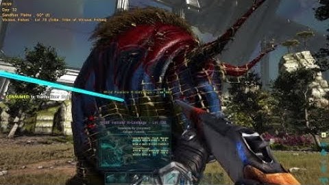 Taming a Gasbag (Ark, Genesis Part 2)