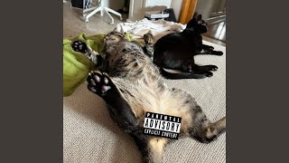 broke (feat. PavloGass) - gesh