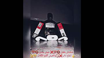 محدش يقول عيش وملح الملح دأب والعيش كلو الكلاب 