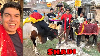 Zoo Mein Mhandi Kr Di 😍 Shadi Start 