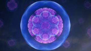 417 Hz   Wipes out all the Negative Energy   9 Hours