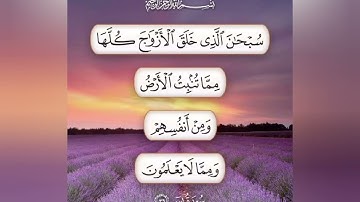 سبحان الذي خلق الازواج كلها " تلاوة ماتعة من سورة يس "