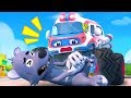 Kumpulan Film Bayi Panda Terbaru | Lagu Anak-anak | BabyBus Bahasa Indonesia