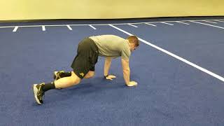 Quadruped Forward Crawl