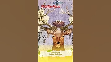 Nhận Cung Cấp Thi Công Tranh Dán Tường 3D Giá Rẻ Tại Thuận An #xuhuong2023