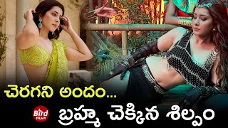 చెరగని అందం...బ్రహ్మ చెక్కిన శిల్పం| Rashi Khanna Shares Latest Stunning Photos | BirdEntertainments