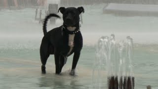 Parisians And Visitors Cool Down In French Capital Fountains Afp