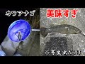 謎の魚「カワアナゴ」を釣って食べたら美味しすぎた！！【テナガエビ／ウグイの泳がせ釣り】