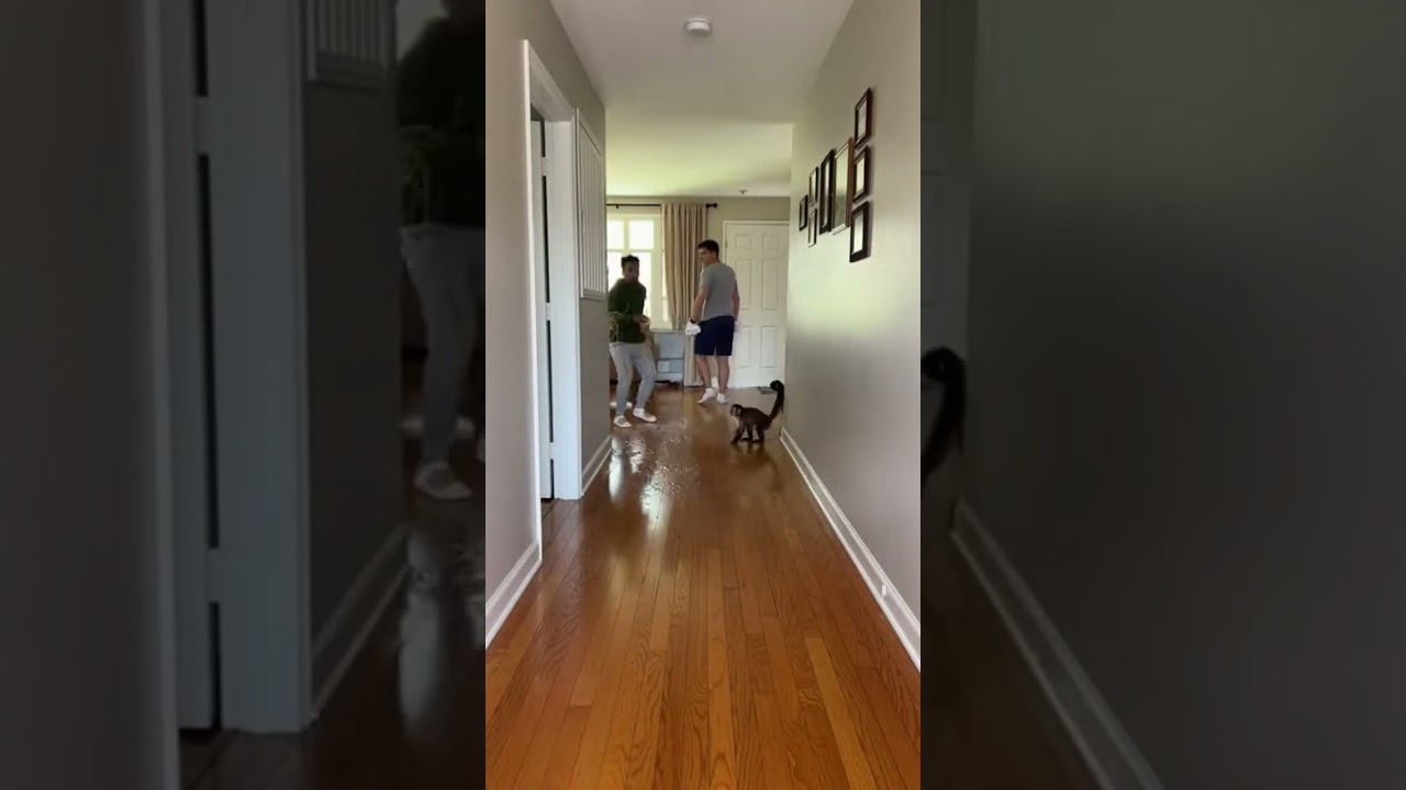 They deserved it! Could've at least pretend 😠 When karma hits hard and fast