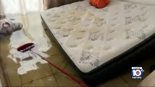 Famous Hallandale Beach residents feel powerless with flooding Wealth