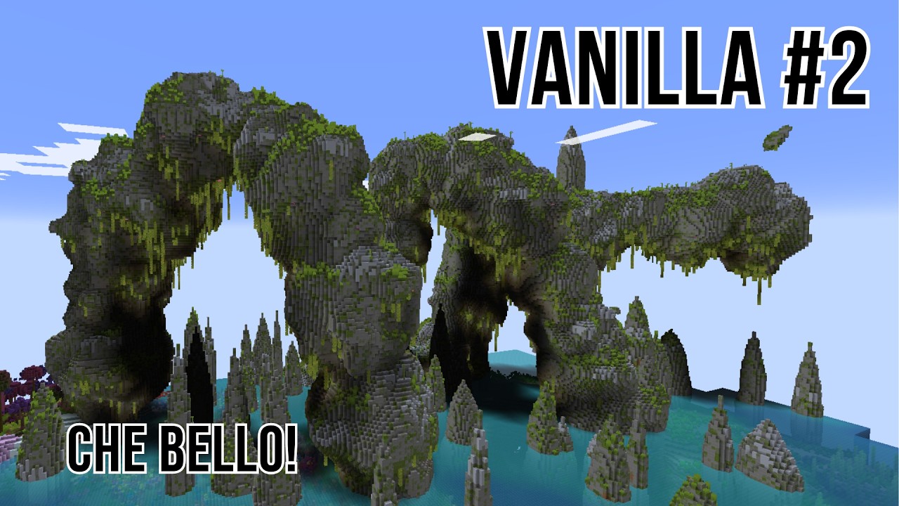 MA DI CHE STIAMO PARLANDO! MINECRAFT VANILLA #2