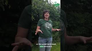 Planting green manure to build soil health
Jenny of Gorse Farm explains how she uses green manures to build healthy soil & grow nutrient dense vegetables. Planting green manure to build soil health