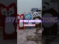Video Image