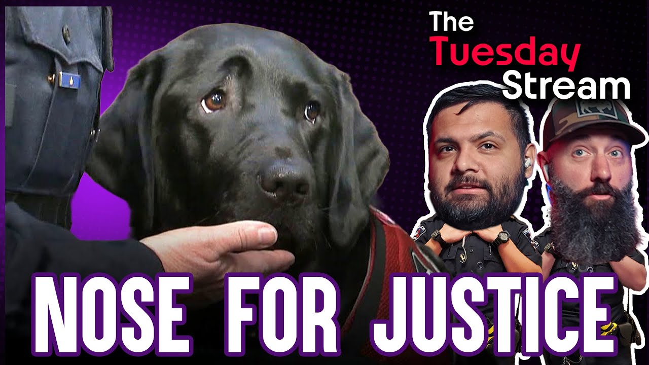 A Nose for JUSTICE👮 OnlyCops 🚨- Weekly Livestream (02/03/2026)