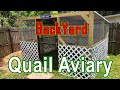 Backyard quail aviary  keeping coturnix quail in an outdoor setting