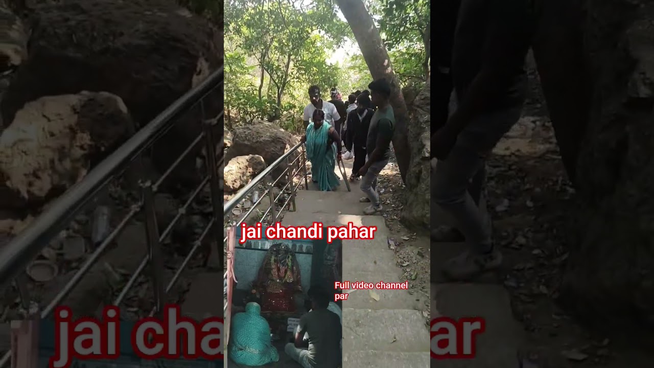 jai chandi pahar || #shortvideo #jaichandimaa #jaimatadi #jaimatarani #viral #viralvideo #trending