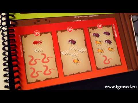 Деловые жуки. Обзор настольной игры-головоломки от Игроведа.
