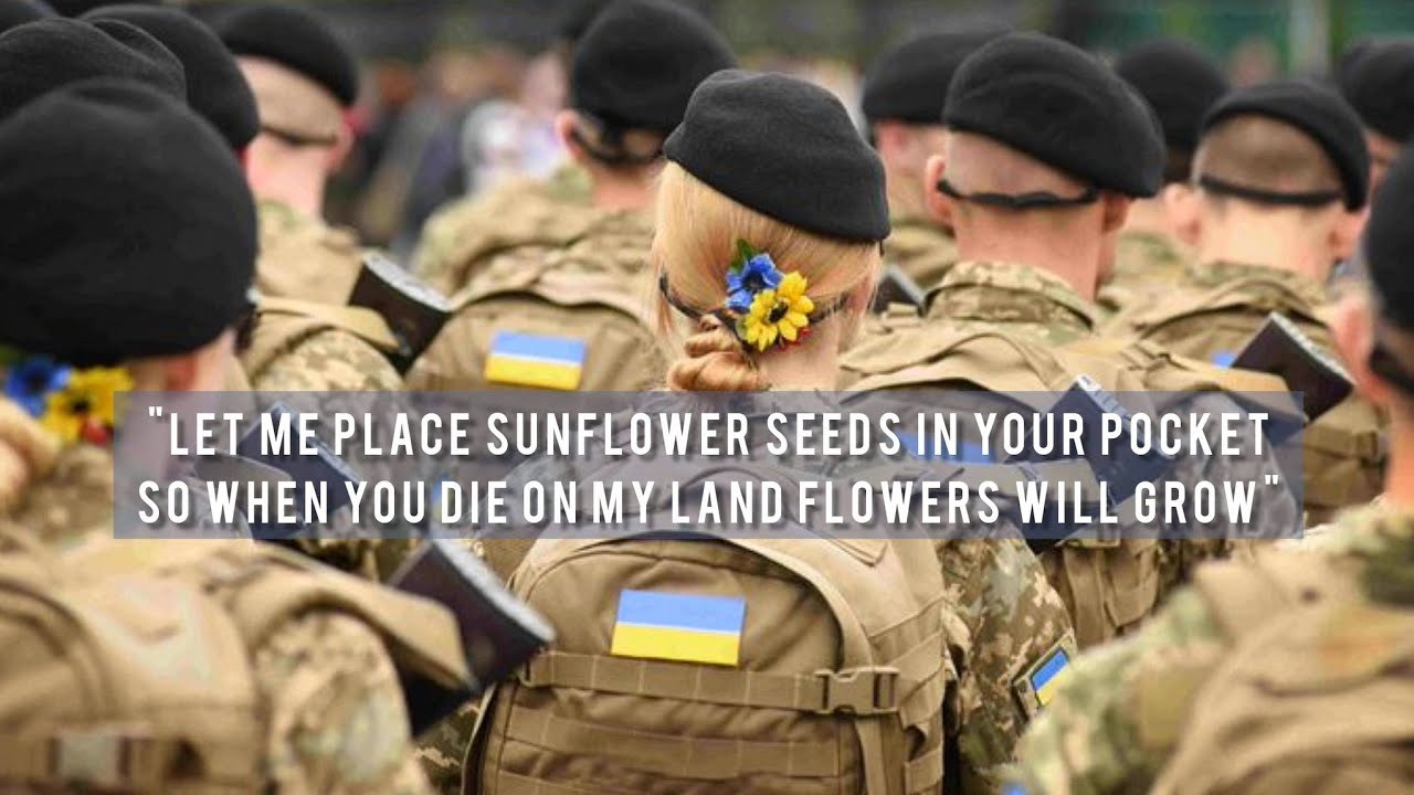 Viral Video of Ukrainian Woman Who Gave Sunflower Seeds to Russian