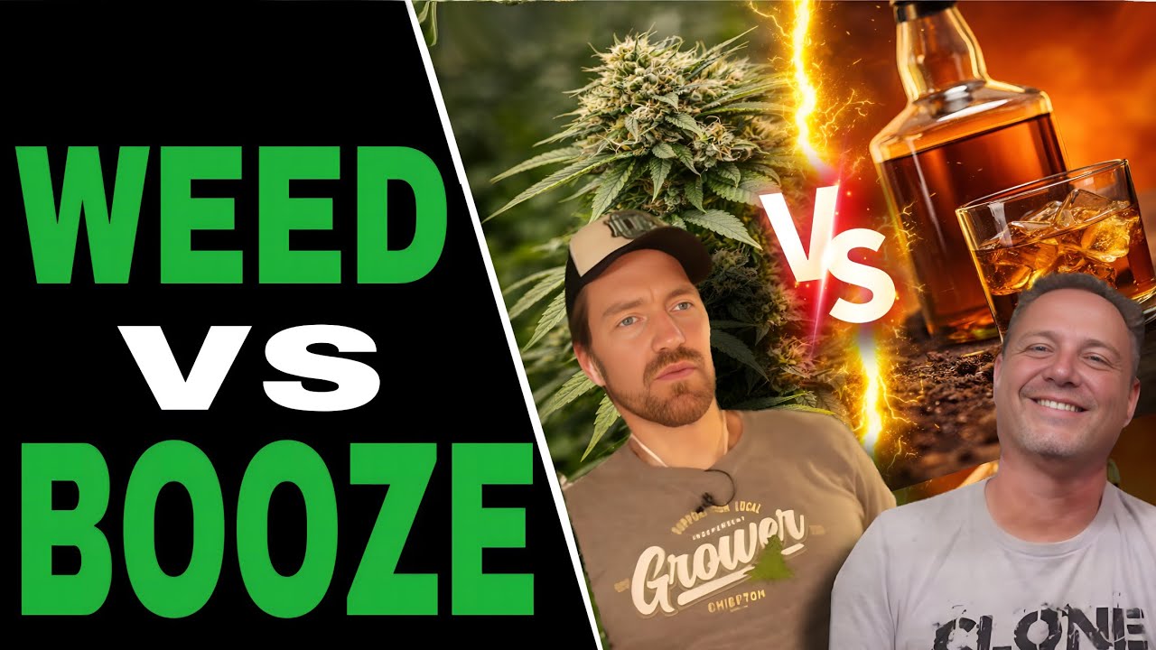 Почему крупные алкогольные компании ненавидят каннабис — и как это изменить