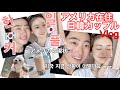 [KR/JR] 🌼アメリカに住む日韓カップルVlog 🌼アメリカの状況🇺🇸 미국에 사는 한일커플 : 오빠랑 나의 일상 💓 미국은 지금 이렇답니다 ㅠㅠ