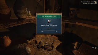 KINGDOM COME DELIVERANCE 2 - How to brew Strong Marigold Decoction (Best Healing Potion, PS5 PRO)