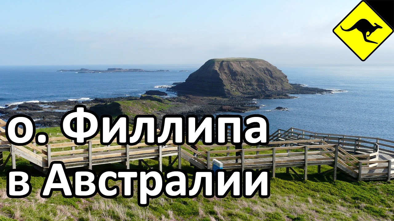 Остров Филлипа в Австралии - Сан Ремо, Австралийская Еда, Вертолет ...