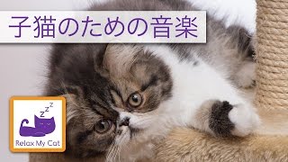 猫のための音楽 - あなたの猫を静めるために音をなだめます