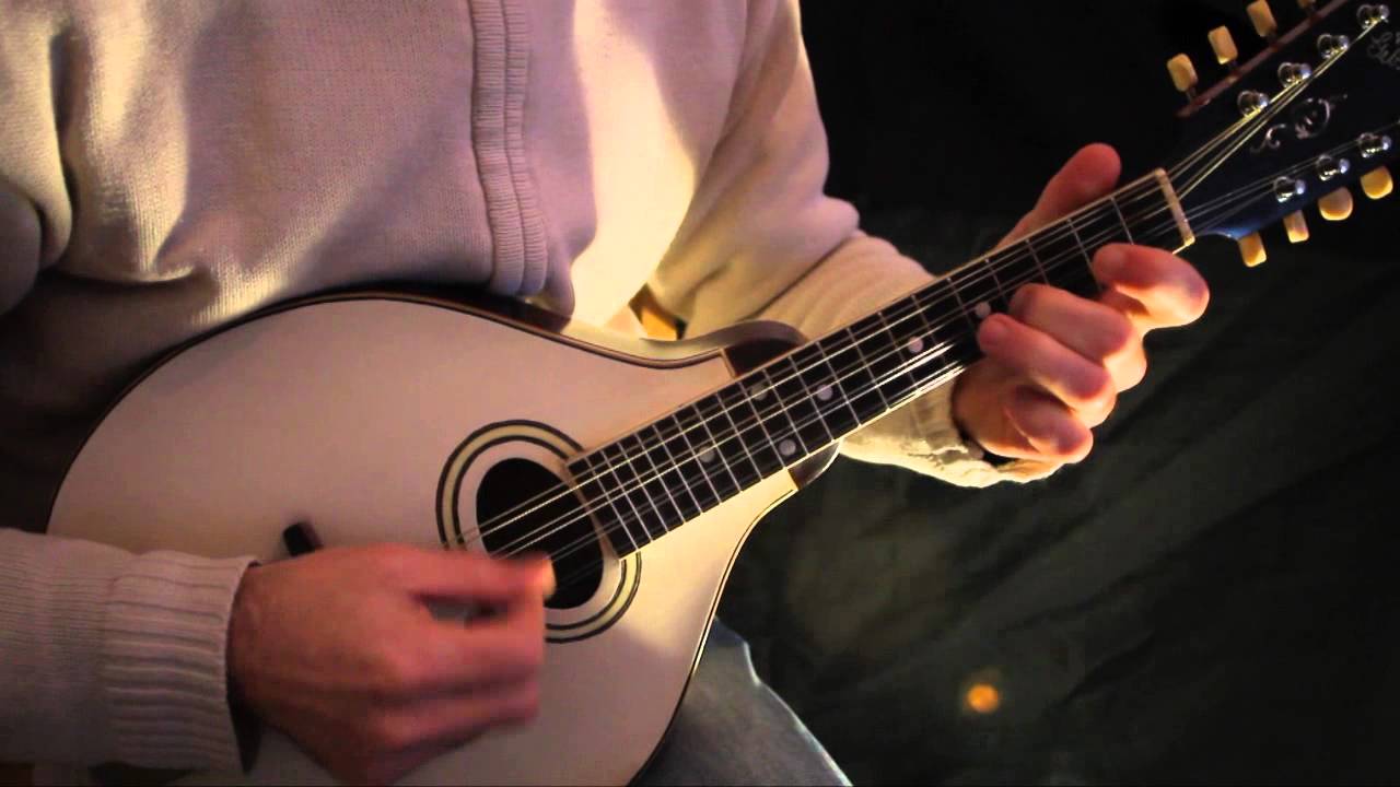 Irish mandolin lessons. Leddy from cavan (reel) YouTube