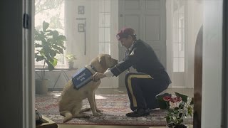 You Are Not Alone | Southeastern Guide Dogs Psa For Service Dogs For Veterans