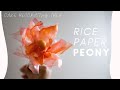 No wire, Rice paper Peony cake topper, Learn how to make beautiful flowers for cake decoration