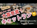 【猫15匹との暮らし】DIYキャットラン🐱3つのキャットラン＆キャットルームツアー