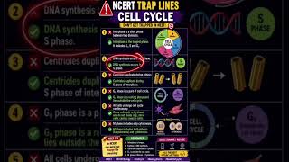 Before NEET, Check These Cell Cycle NCERT Facts! 🔥