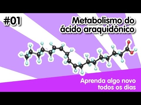 Vídeo: Qual é o precursor do ácido araquidônico?