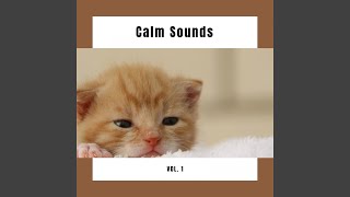 Tunes of Subtle Cat REM Phase