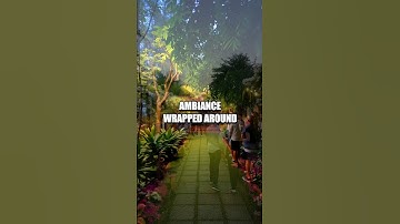 The Mindfulness Garden: Cultivating Serenity in the City