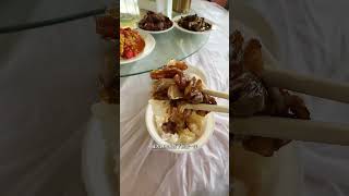 Vlog One Person One Dog Bed Car Self-driving Tour in Inner Mongolia Third Stop Ulanqab