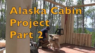 Alaska "Off Grid" Log Cabin Project ...Part 2...building short walls
